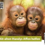 PSI Spedition PRO WILDLIFE Alt Handy Sammelaktion - News im Juli 2023: Althandys recyclen - P.S.I. Speditions GmbH